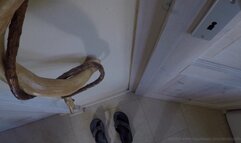 Sucking and licking (2019) (MP4)