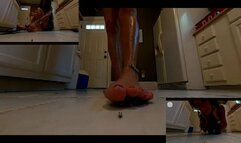 Rebel Hates Nosey Neighbors!