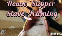 House Slipper slave training