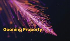 Gooning Property *wmv*