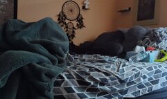 Naejae laying in bed playing with pussy