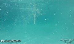 Portia Everly, The Exhibitionist Meets the Voyeur