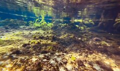 Carissa in the public spring in her pirate bikini