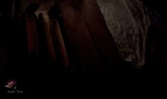 Two Fucktoys Used in Dungeon