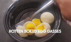 ROTTEN BOILED EGG GASSES
