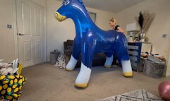 Transparent blue pony ride 4K