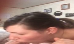 Blowjob and reverse cowgirl