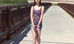 Diana - Handcuffed Walk on Bridge (AVI)