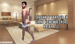 Shrunk & trapped in giant Homewrecks hairy ass