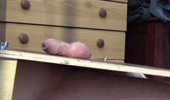 NEW, UGG BOOTS & UGG TRAINERS CAM 2 PART 1