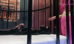 Facesitting latex slave in latex leggins pants princess