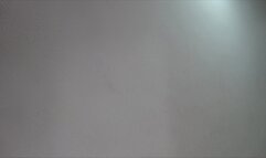 Mina the Cat! POV BJ with Boob action