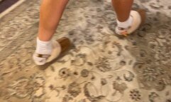 Trapped Inside Her Shoe