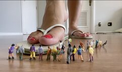 The tiny ones broke into the wrong house