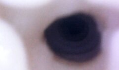 Fuck my big pussy from the inside - Vaginal Penetration Vore ASMR