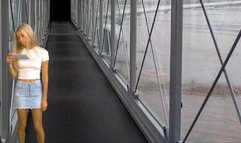 Airport Security: Slava Ukraini! HD