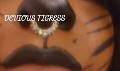 DEVIOUS TIGRESS