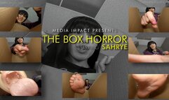 The Box Of Horror HD
