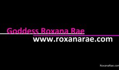 Beggars Can't Be Choosers - SPH