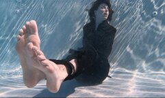 The Stalker Serious Business SD