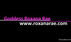 October Tiny Dick Tax 2023