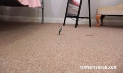 TFF1647 - Beautiful Brunette Giantess Alicia Dominates & Crushes Tiny Guys - 4K UHD MP4