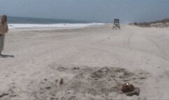 Buried in the sand redux-1080 WMV