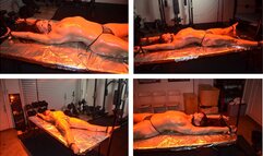 Latina Roasting - Bound Jezabel gets cooked!