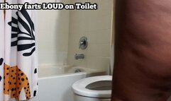 Ebonybooty49 Farting Nice Loud into Porcelain