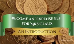 Become an 'Expense Elf' - Introduction