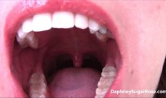 A Shrunken Mouth Museum Tour - MOV 1920x1080p