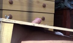 NEW, UGG BOOTS & UGG TRAINERS CAM 2 PART 2