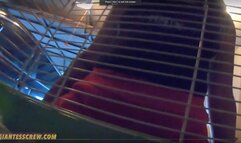 Giantess Crew CJ CLEAN MY SHOES