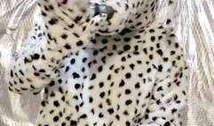 Cute Pup Paws Off For You