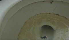 Teenie Swims in a giantesses Huge Nasty Toilet 1080