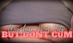 Worship My Tits But Don't Cum