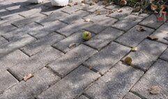 Fruits and trash under Chucks