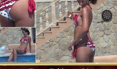 Tu es, Zahltrottel I