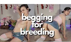 gf BEGS you to knock her up and get her pregnant