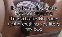 HD Hairy Bush milf giantess Barefoot Stomping Wrinkled Soles No panty upskirt crushing you like a tiny bug