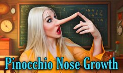 Pinocchio Nose Growing Liar Math Teacher