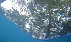 Tiny Human Swimming with two Giantesses POV 1080 smaller