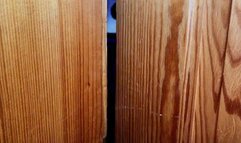 Alessa Milano does a fisitig show