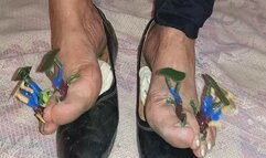 Little dirty feet fans MP4