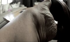 Worship Them Now - Full Movie