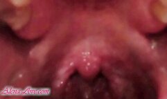 Outdoor Snak Vore With Kira[HD]