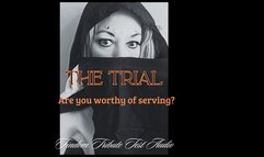 Wicked Witch Tribute Trial