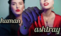 Madame Juliette and I will use you as an ashtray POV