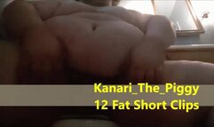 Kanari_The_Piggy 12 fat short Clips
