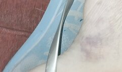 Tempest showing painted toes in flip flops